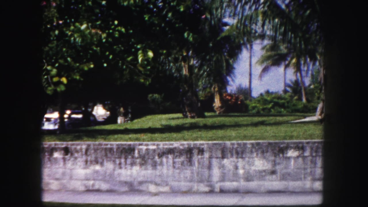 The camera pans along a low stone wall in Tampa, showing a sunny lawn, dense trees, palm fronds, and parked cars beyond.
