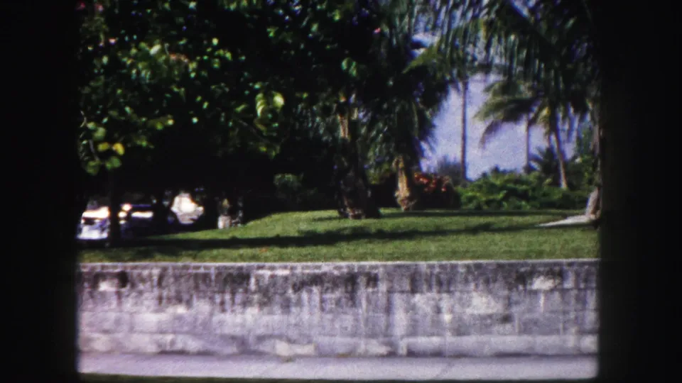 The camera pans along a low stone wall in Tampa, showing a sunny lawn, dense trees, palm fronds, and parked cars beyond.