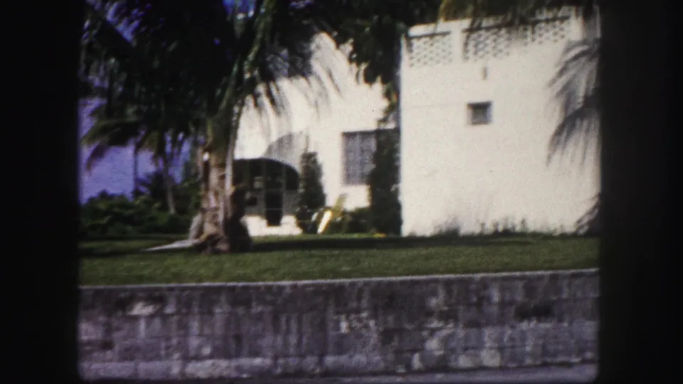 The final frame shows a white Tampa residence, palm trunks, lawn, shrubs, and a low stone wall under bright daylight.
