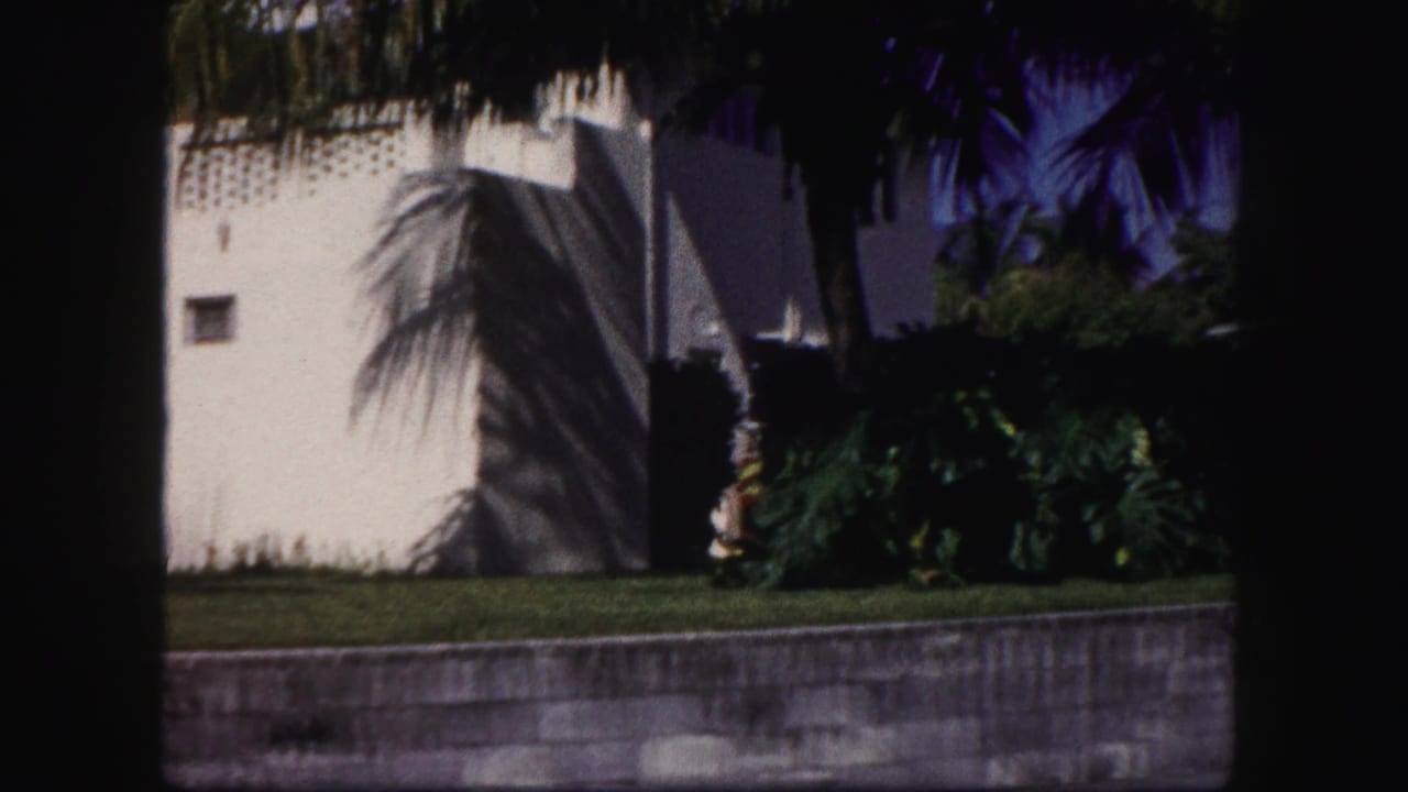 White residential wall in Tampa with palm shadows, clipped lawn, and dark trees framing the home-movie view.