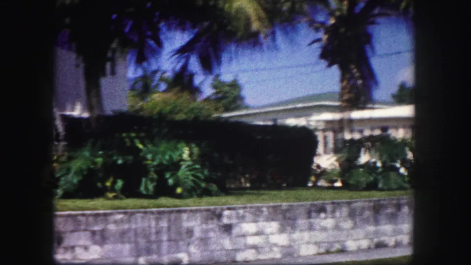1960 Tampa frame of a low white house partly screened by palms, tropical plantings, lawn, and a stone or concrete wall.