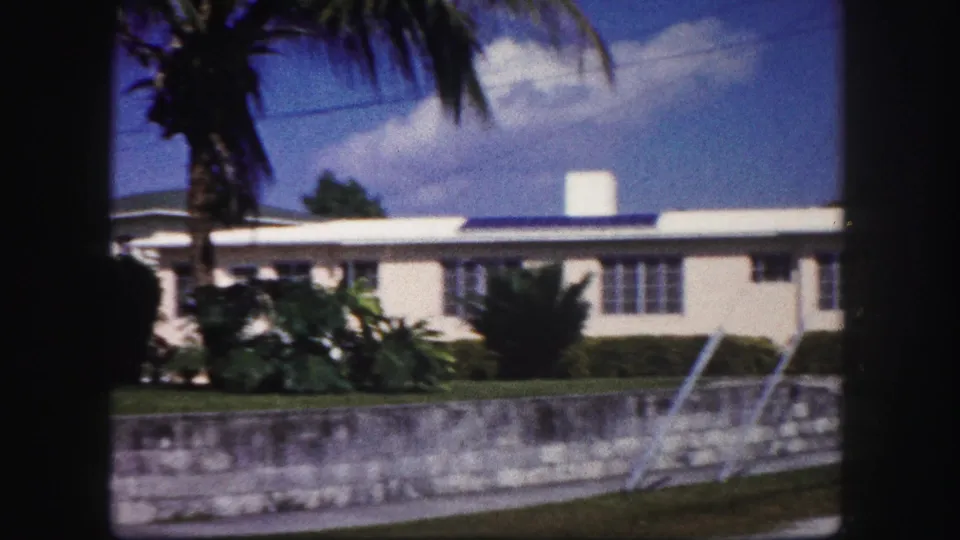 White flat-roof residence in Tampa with palms, shrubs, a low wall, and steps at the edge of the yard.