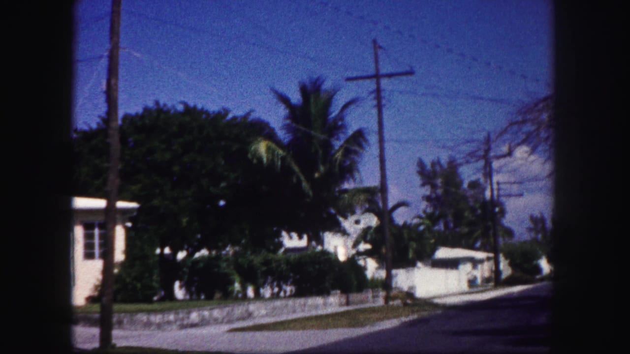 Residential street with palm trees, utility poles, hedges, and low stone walls.