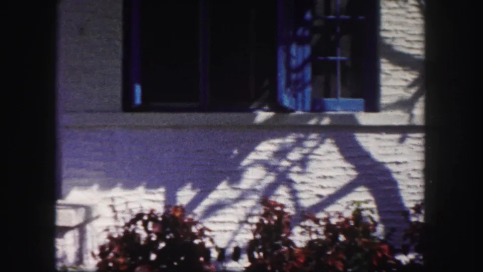 A closer porch view shows blue shutters, textured white stucco, garden plants, and strong shadows across the Tampa house exterior.