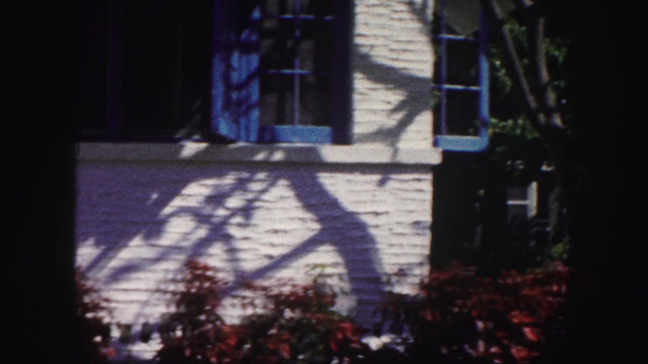 Pale house wall with blue-trimmed windows, tree shadows, and red shrubs in front.