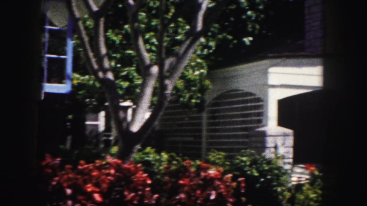 1960 Tampa exterior view with trees, red planting beds, and blue-trimmed house windows partly visible.