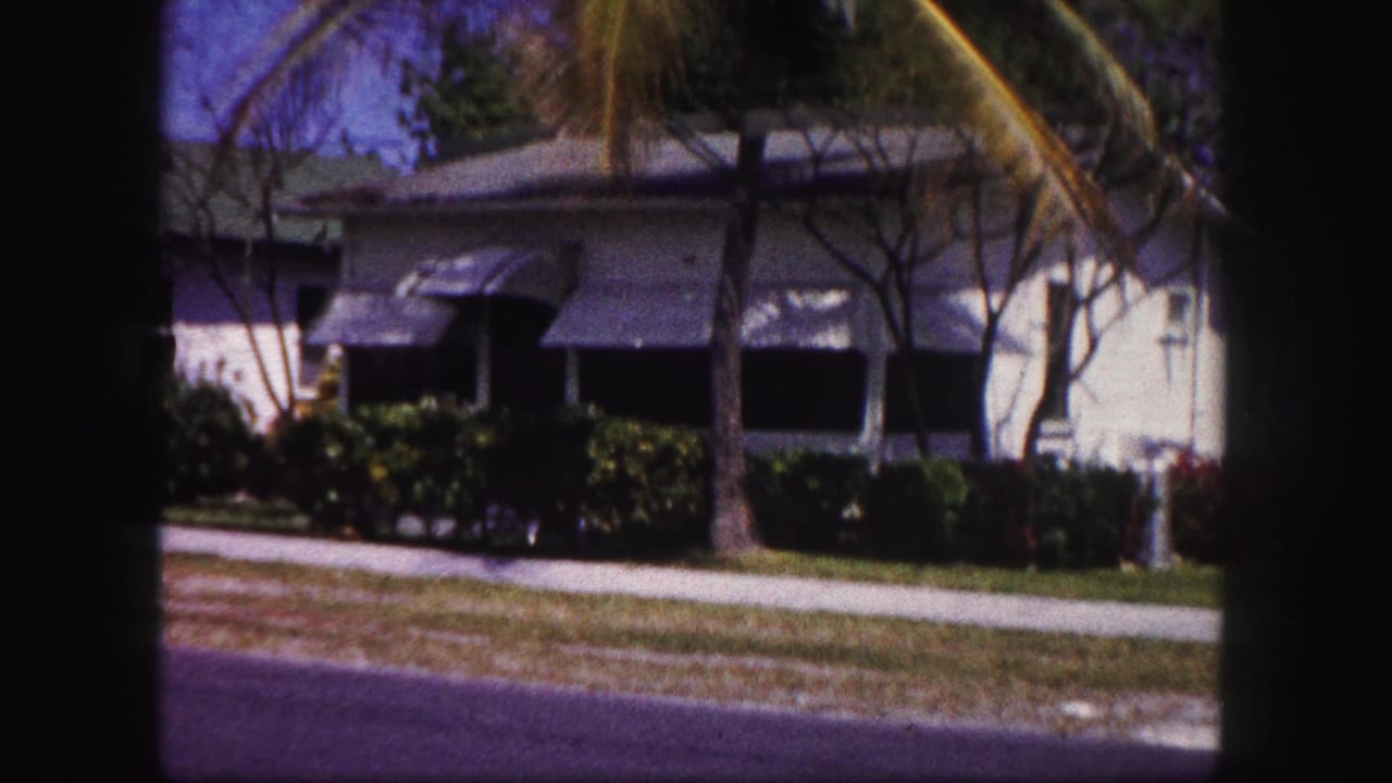 1960 Tampa residential view with a low house, dark window awnings, palm trees, sidewalk, and sunny lawn.