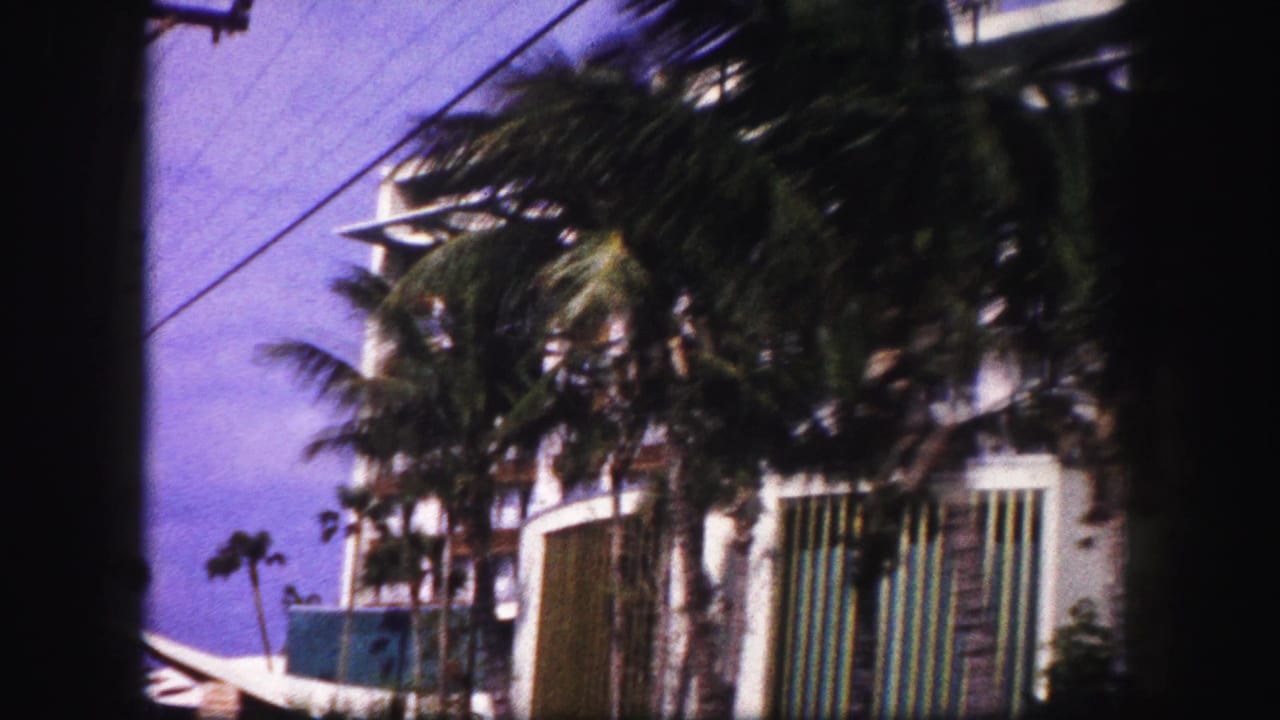 1960 Tampa hotel facade with palms, vertical windows, partial rooftop signage, and soft home-movie focus.