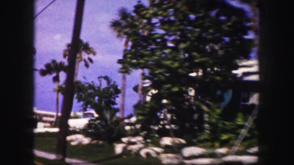 1960 Tampa street-level view of hotel landscaping with palms, rocks, lawn, sidewalk, and a partly obscured modern building.
