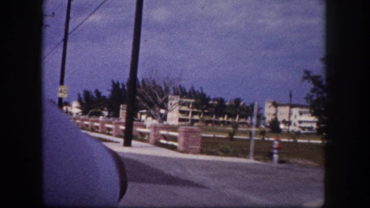 Passenger-window view of a road beside palms, utility poles, grass, and a distant white building.