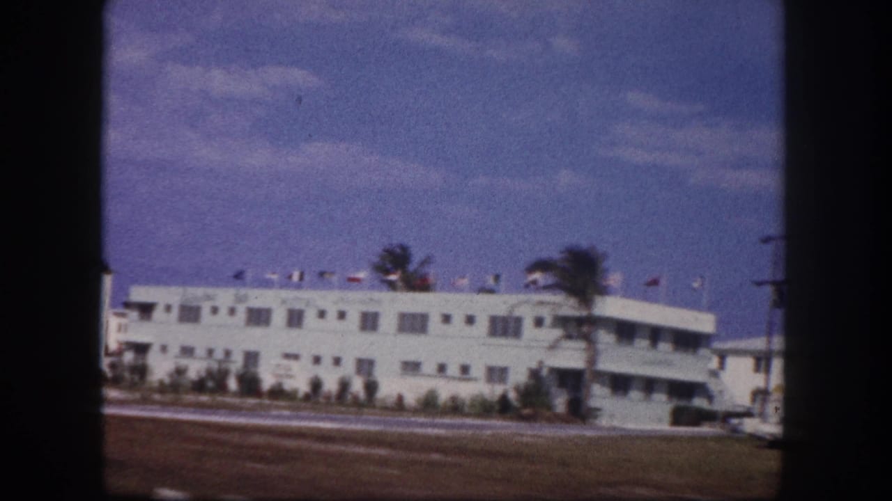 White low-rise motel seen across a road with roof flags, palm trees, and parked cars.