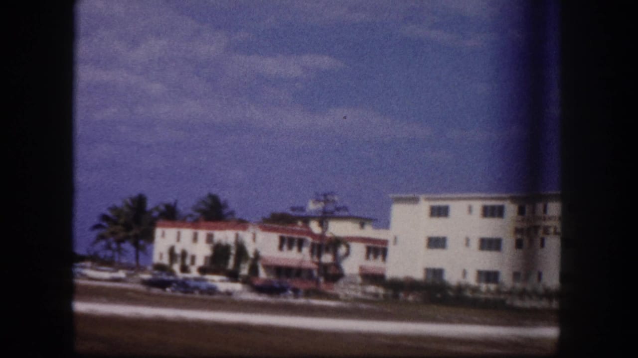 1960 Tampa street view with palm trees, parked cars, and low-rise mid-century buildings near the road.