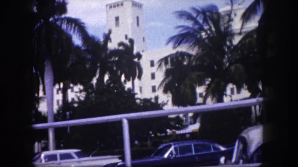 1960 Tampa view of a white towered building partly obscured by palms, with sedans parked along the street.
