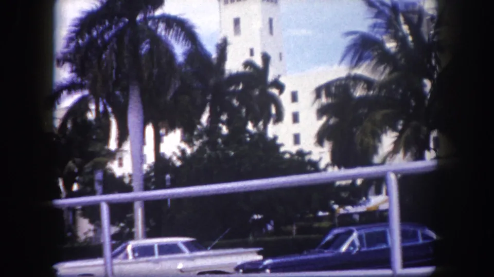 1960 Tampa street scene with two classic cars, palms, roadside railing, and a white towered building in the background.