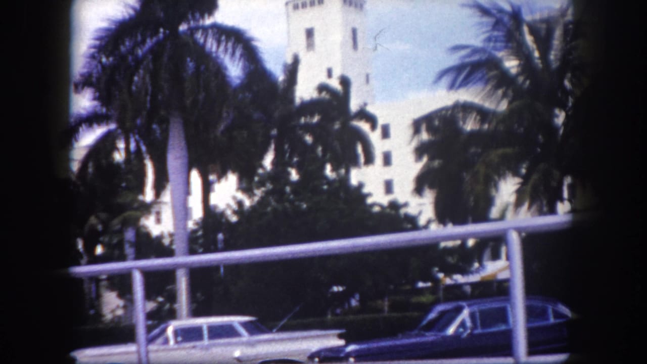 1960 Tampa street view with palm trees, parked mid-century cars, a railing, and a white towered building beyond the trees.