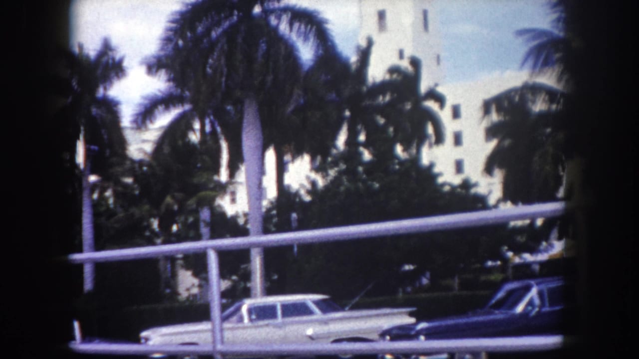 1960 Tampa home-movie frame showing parked cars below tall palms, with a white building partly visible in the background.