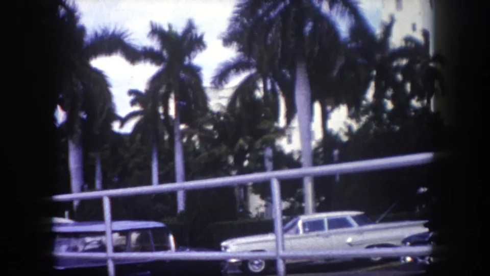 1960 Tampa street scene with a white station wagon, another parked car, tall palms, railing, and a pale building behind foliage.