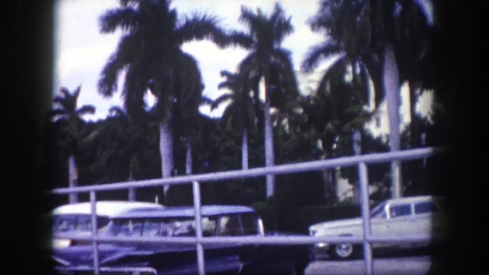 1960 Tampa frame with a station wagon at lower left, a parked white car at right, palm trunks, foliage, and a foreground railing.