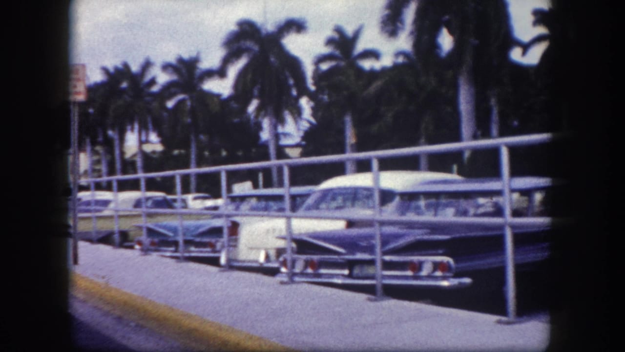 1960 Tampa frame with parked mid-century cars, metal railings, a curb, and tall palms in the background.