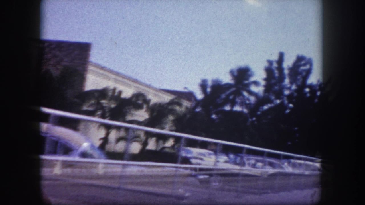 Street railing, palm trees, parked cars, and a building seen from a moving viewpoint.
