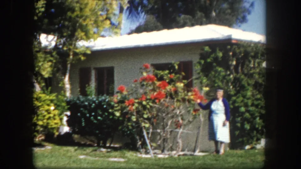 8mm home movie, Tampa, Florida, circa 1960: woman posed in a well-tended tropical front garden with vivid red flowering plants.