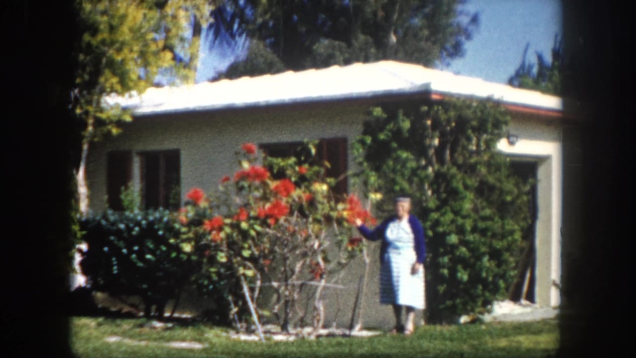 Woman in blue cardigan tends a red flowering bush beside a white stucco ranch house, Tampa, Florida, circa 1960, 8mm home movie.