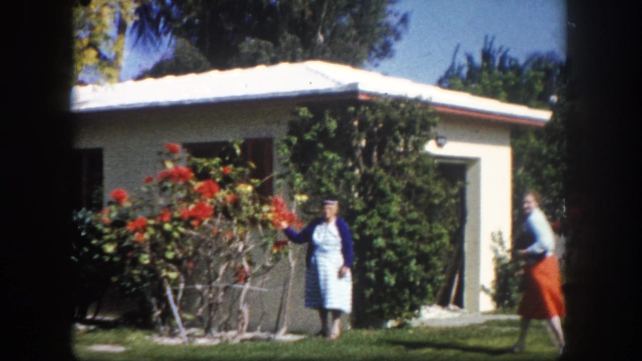 Two women in a garden; one in blue cardigan by flowering bush, second in orange skirt approaching from the right.