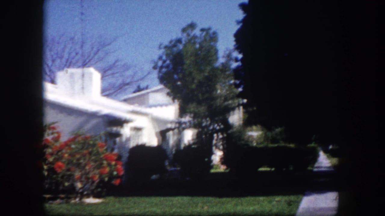 White stucco house fronted by red flowering bushes and tall shade trees on a bright suburban street.