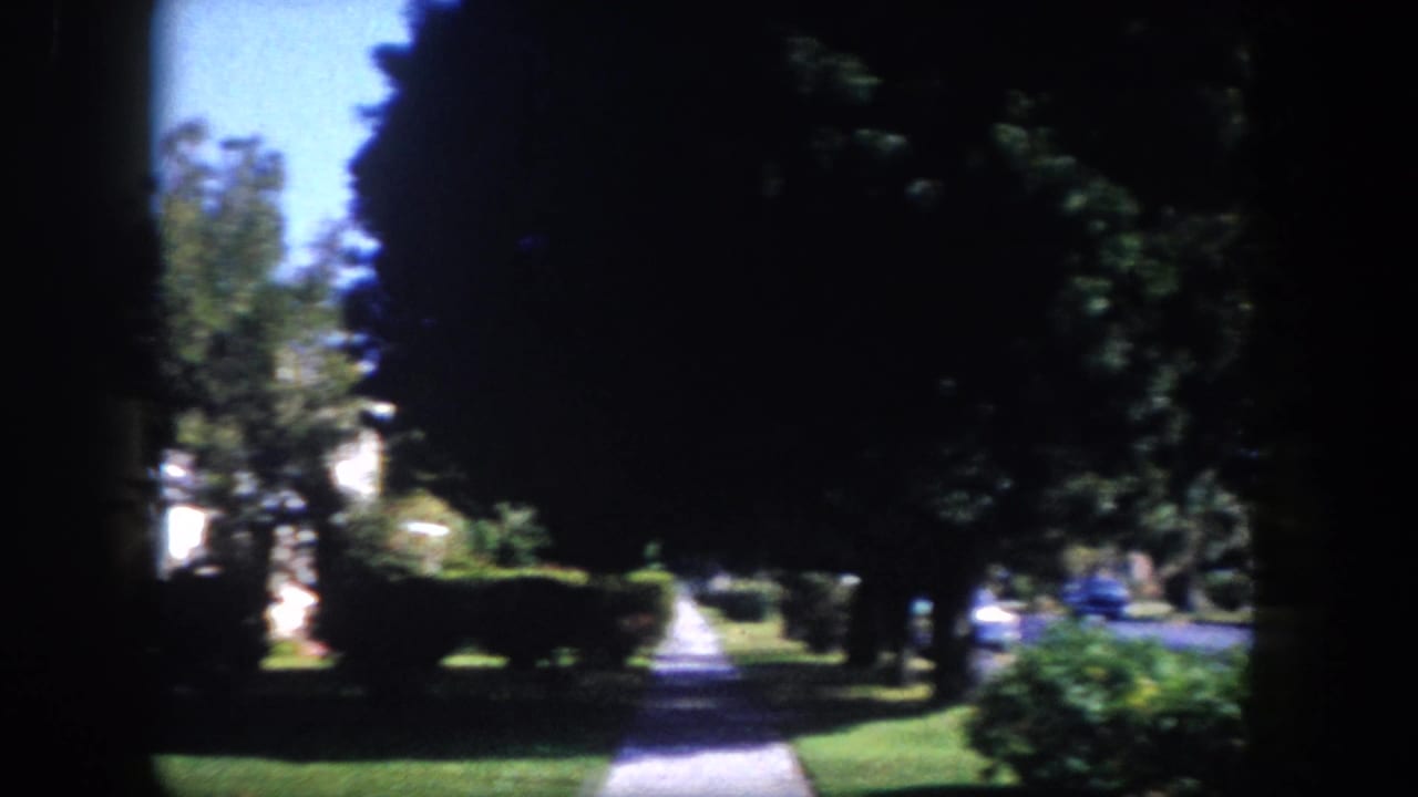 Tree-lined residential sidewalk with dappled shadows and a view down a quiet suburban street.