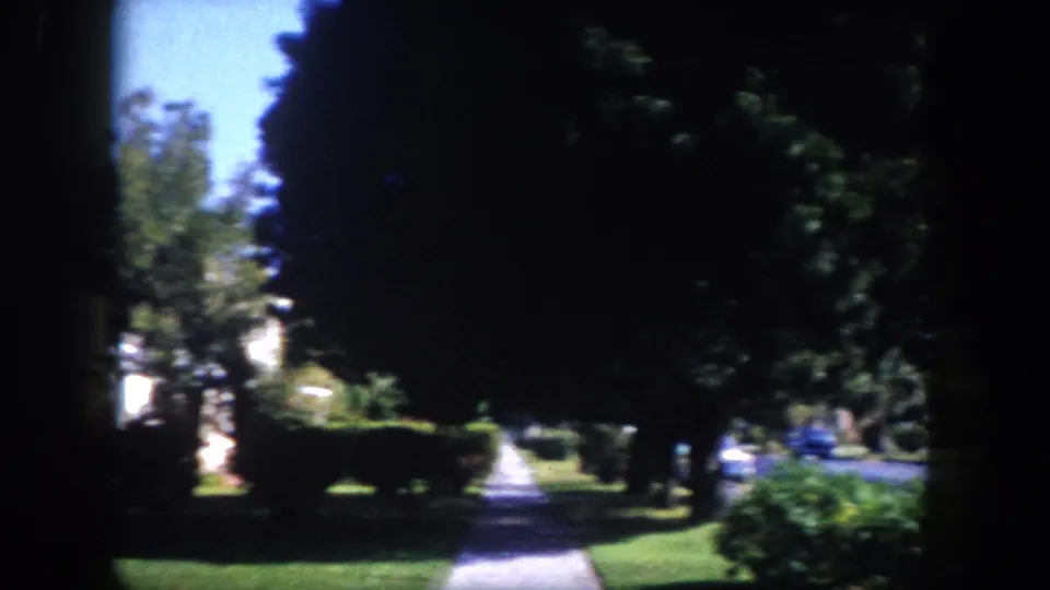 Tampa residential street, c. 1960: camera moves along a tree-lined sidewalk, mature canopy trees casting deep shadows, a possible parked car visible in the far background.