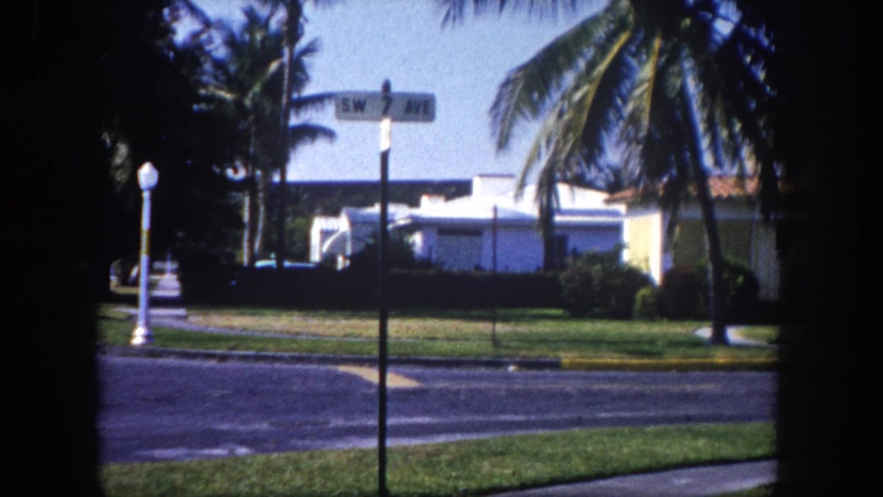 A quiet residential street corner with a street sign pole, tall palms, a grass median, and a white building visible in the distance under blue sky.
