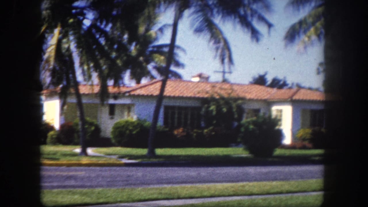 White stucco house with terracotta tile roof framed by tall palm trees on a quiet residential street.