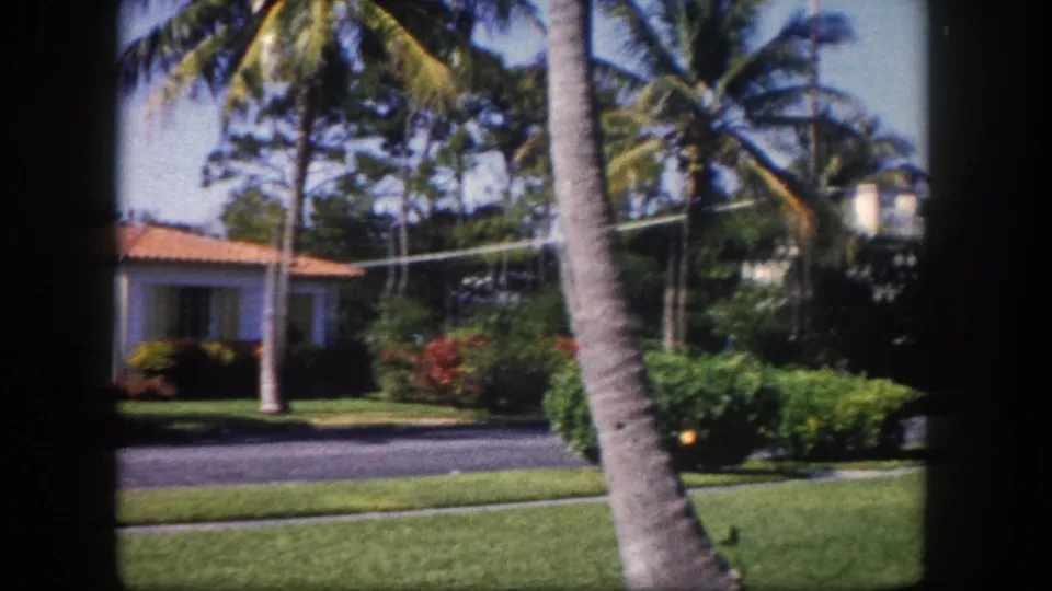 Close foreground palm trunks during a street-level pan, with a stucco house and terracotta roof partially visible at left, Tampa, Florida, circa 1960.