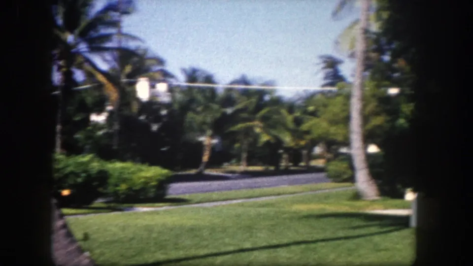 Tree-lined residential street with tall palm trees and green lawns, a second home visible in the background, Tampa, Florida, circa 1960.