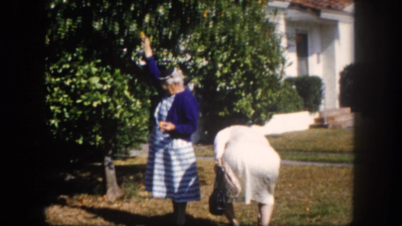Two figures picking fruit in a suburban Florida garden, circa 1960; one wears a blue cardigan and checkered dress and reaches into the tree canopy, the other bends in white clothing nearby.