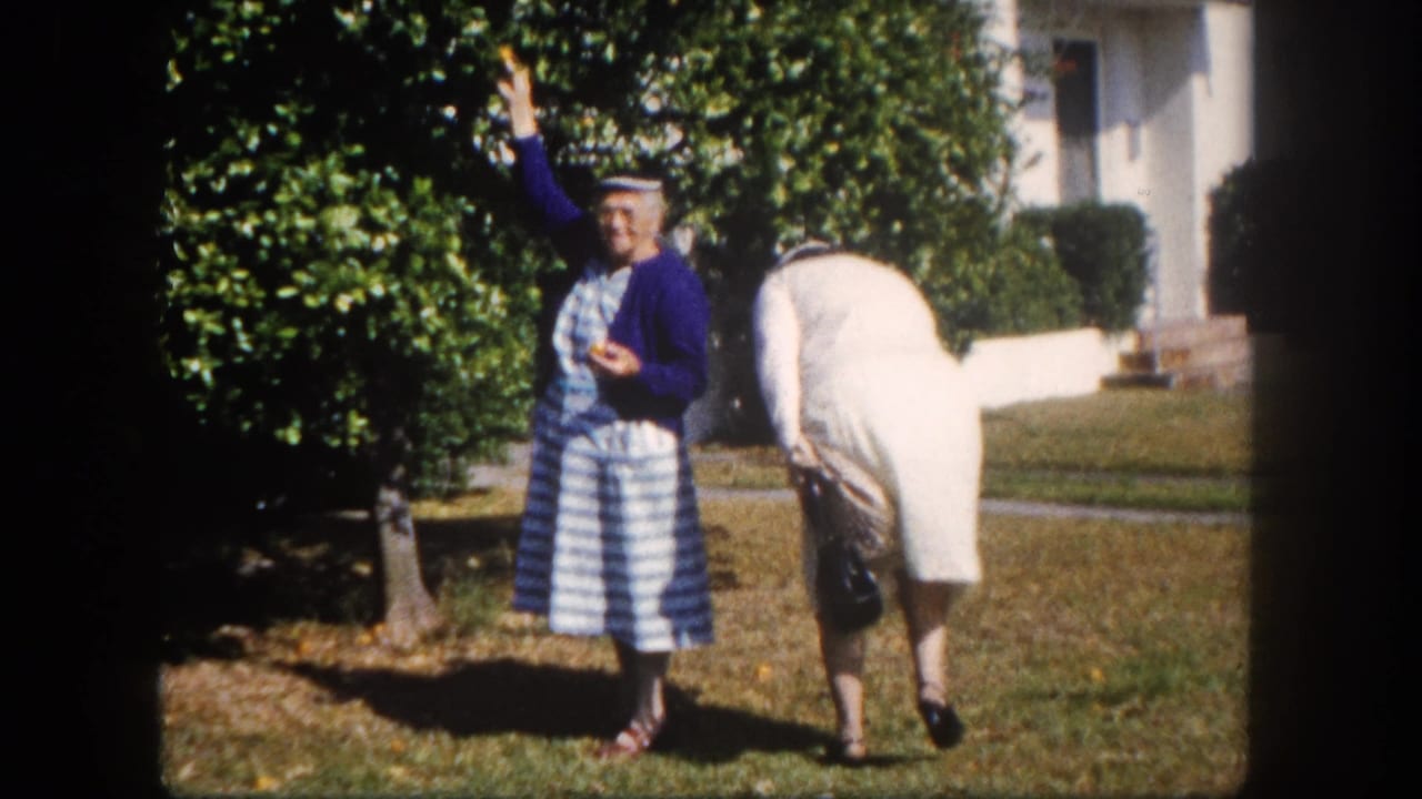 Two older women on a suburban lawn, Tampa, Florida, circa 1960; one in blue cardigan and striped dress, the other in white bending toward the ground near a hedge.