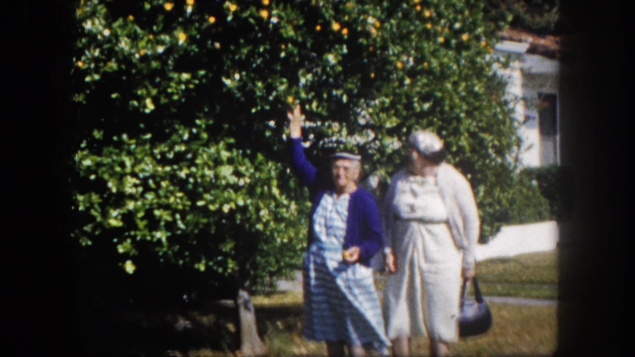 Two women stand before a large fruit-laden orange tree; one in blue raises her arm pointing upward.