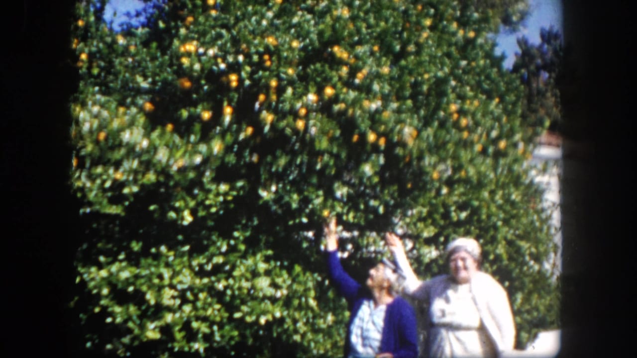 Closer view of two women beside a citrus tree heavy with oranges; one raises her arm; blue sky visible above.