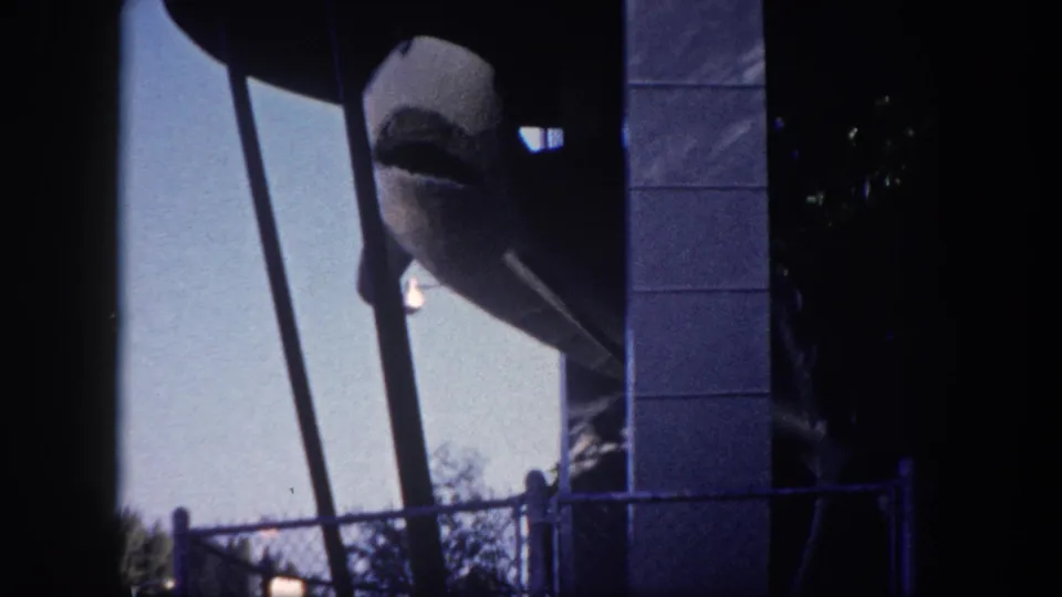 Head-on view of a grey shark amusement ride figure with open mouth at the 1960 Tampa State Fair, framed by diagonal support arms and a concrete-block pillar.