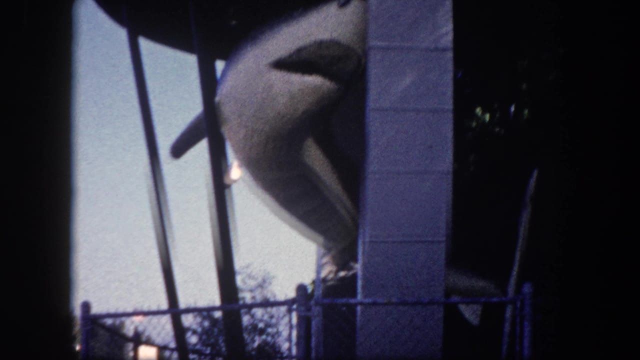 Open-mouthed shark sculpture viewed from the visitor side of a chain-link fence, Tampa, Florida, circa 1960, on color 8mm film with pronounced blue-purple dye shift.