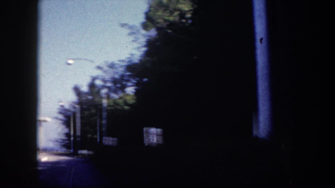 Driving shot along a tree-lined road, motion blur present, street lights visible, road signs partially legible at right edge.