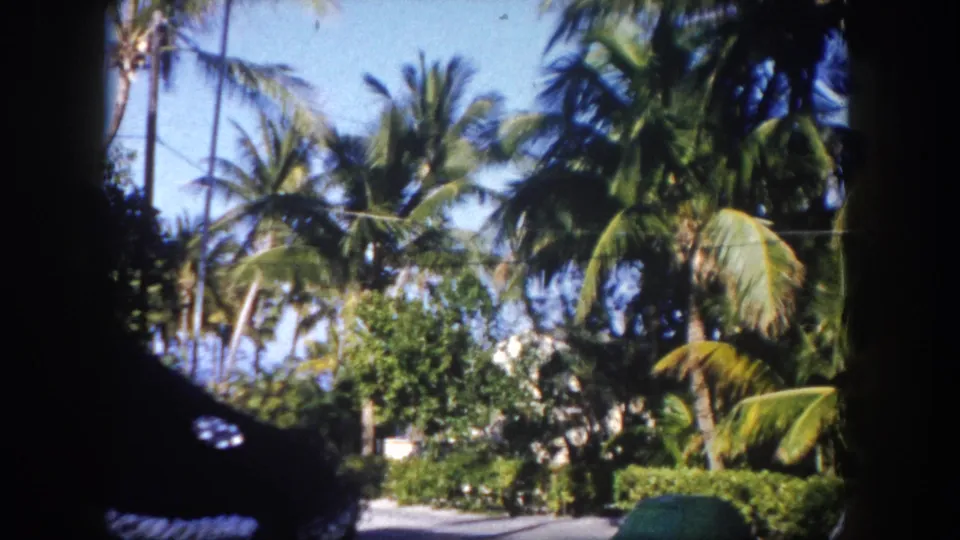 8mm home movie frame circa 1960 showing a palm-lined Tampa, Florida street through a dark window vignette, with low hedges and a quiet road visible.