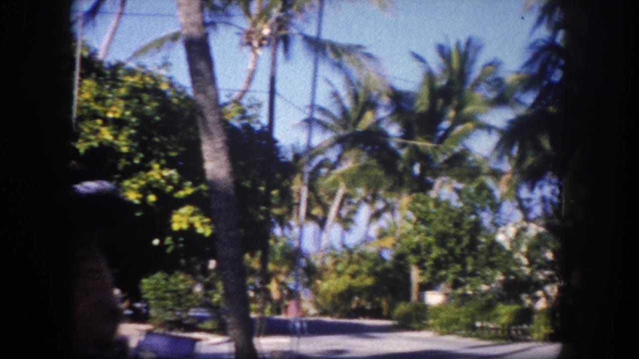 8mm footage circa 1960 showing a Tampa, Florida residential street flanked by coconut palms, with a parked vehicle and possible distant figure visible mid-distance.