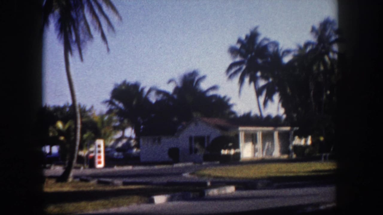 White single-story house with adjacent carport surrounded by palm trees; a small red sign is visible in the middle distance near a paved road.