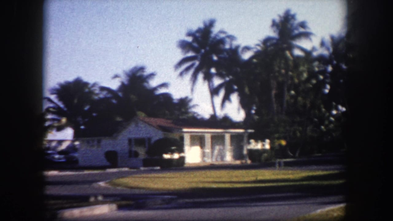 White mid-century ranch-style house with covered porch and green lawn surrounded by palm trees, appearing consistent with 1960s Tampa, Florida.