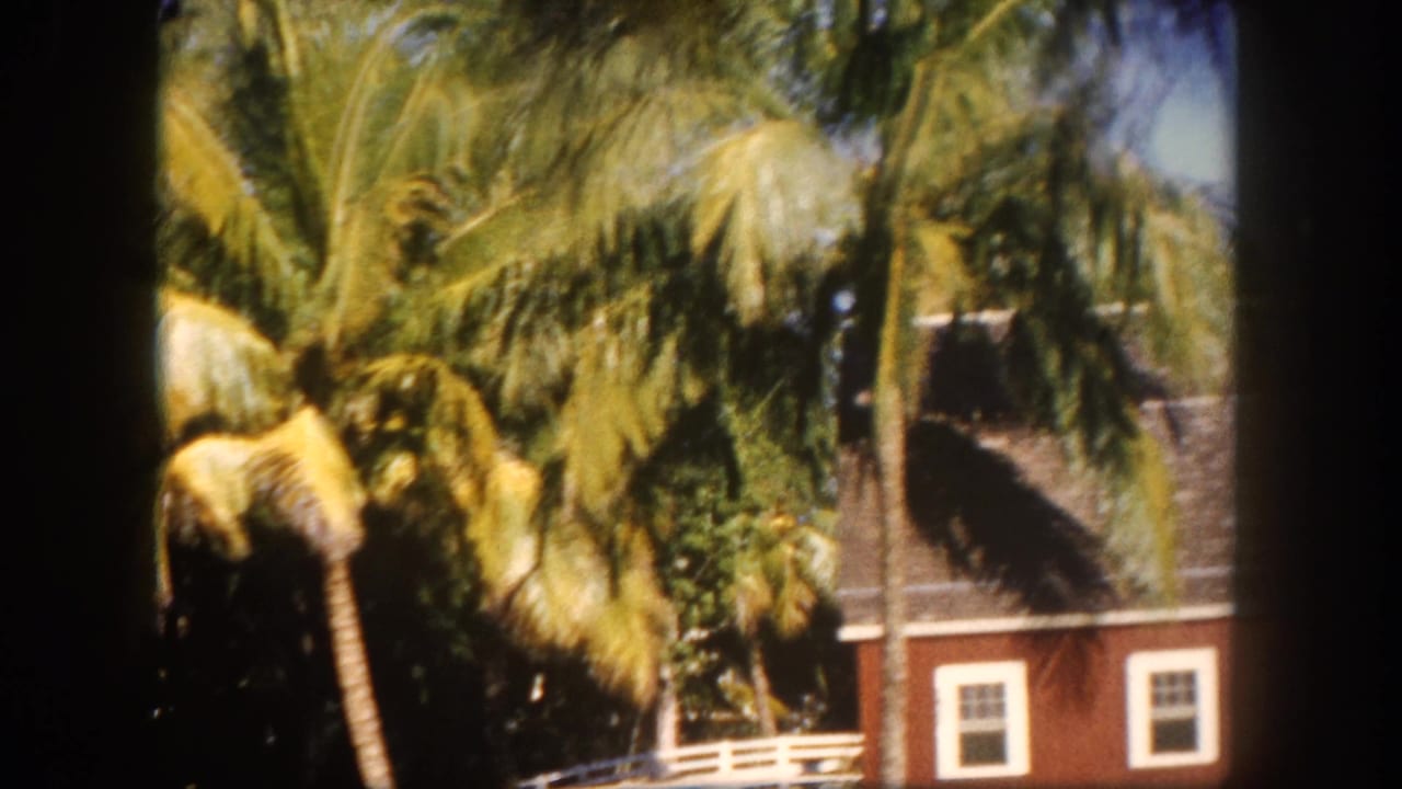 Tropical palm fronds dominate the foreground with a red brick building and white fence visible behind, consistent with a 1960s Florida neighborhood, shot on 8mm.