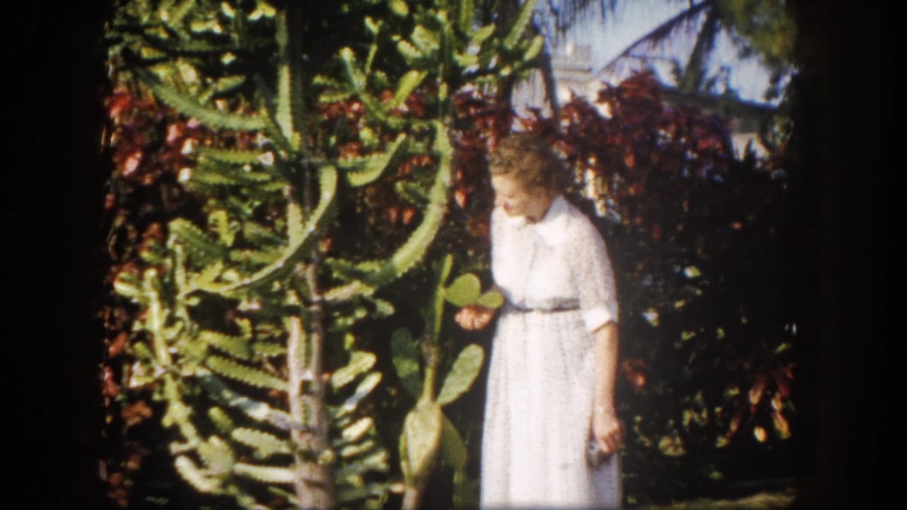 Woman in white belted dress bending to inspect the base of a tall cactus in a Tampa, Florida garden, circa 1960.