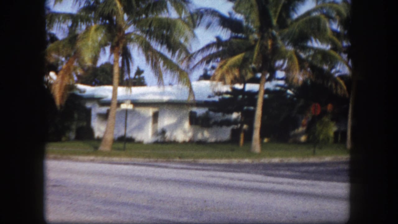 Low-profile mid-century modern white house partially screened by tall palms, green lawn and road visible, Tampa, Florida, c.1960.