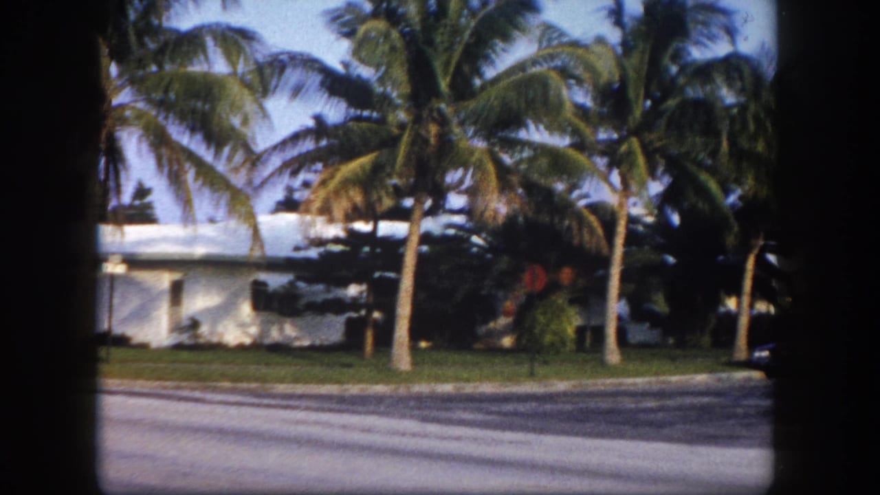 Residential mid-century modern house with multiple tall palm trees and street frontage, Tampa, Florida, c.1960, 8mm film.