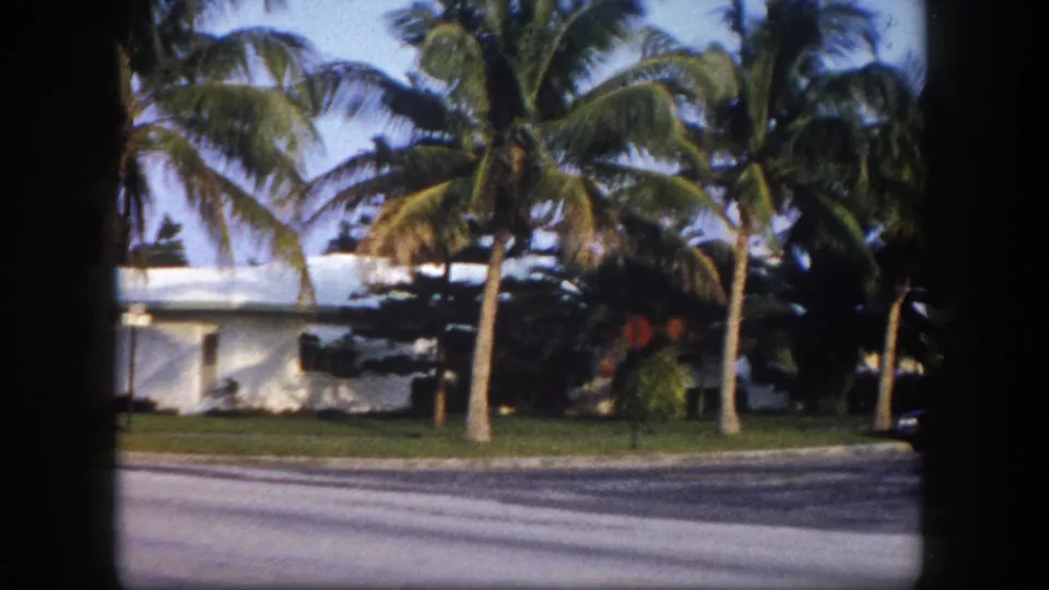 Residential mid-century modern house with multiple tall palm trees and street frontage, Tampa, Florida, c.1960, 8mm film.